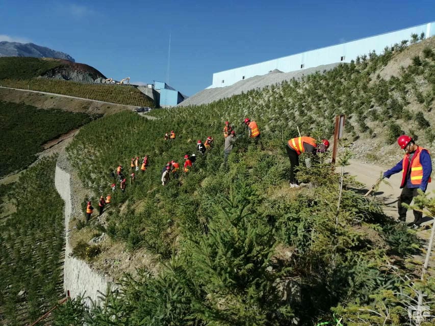 尊时凯龙·Z6(中国区)人生就是拼搏!