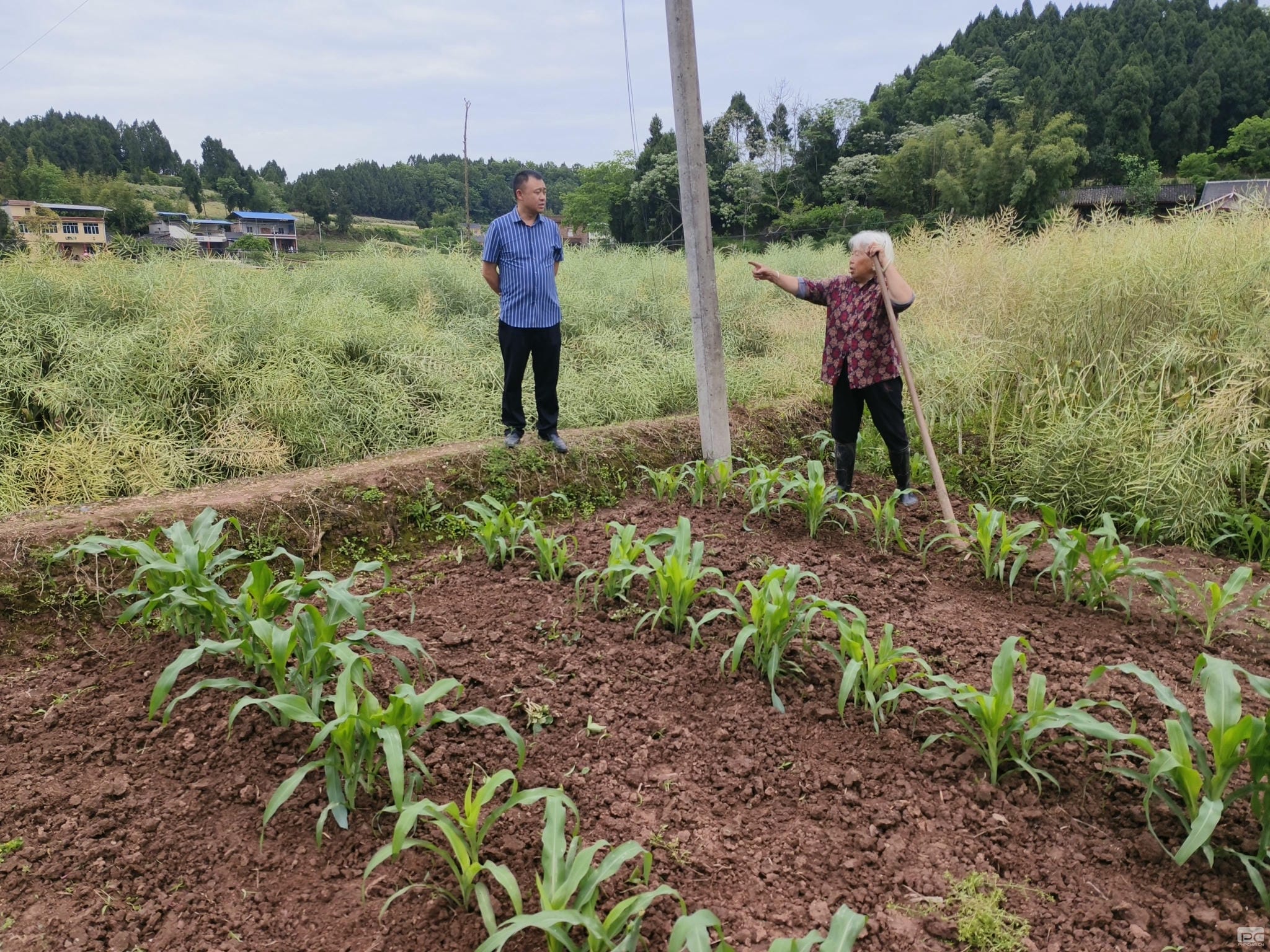尊时凯龙·Z6(中国区)人生就是拼搏!