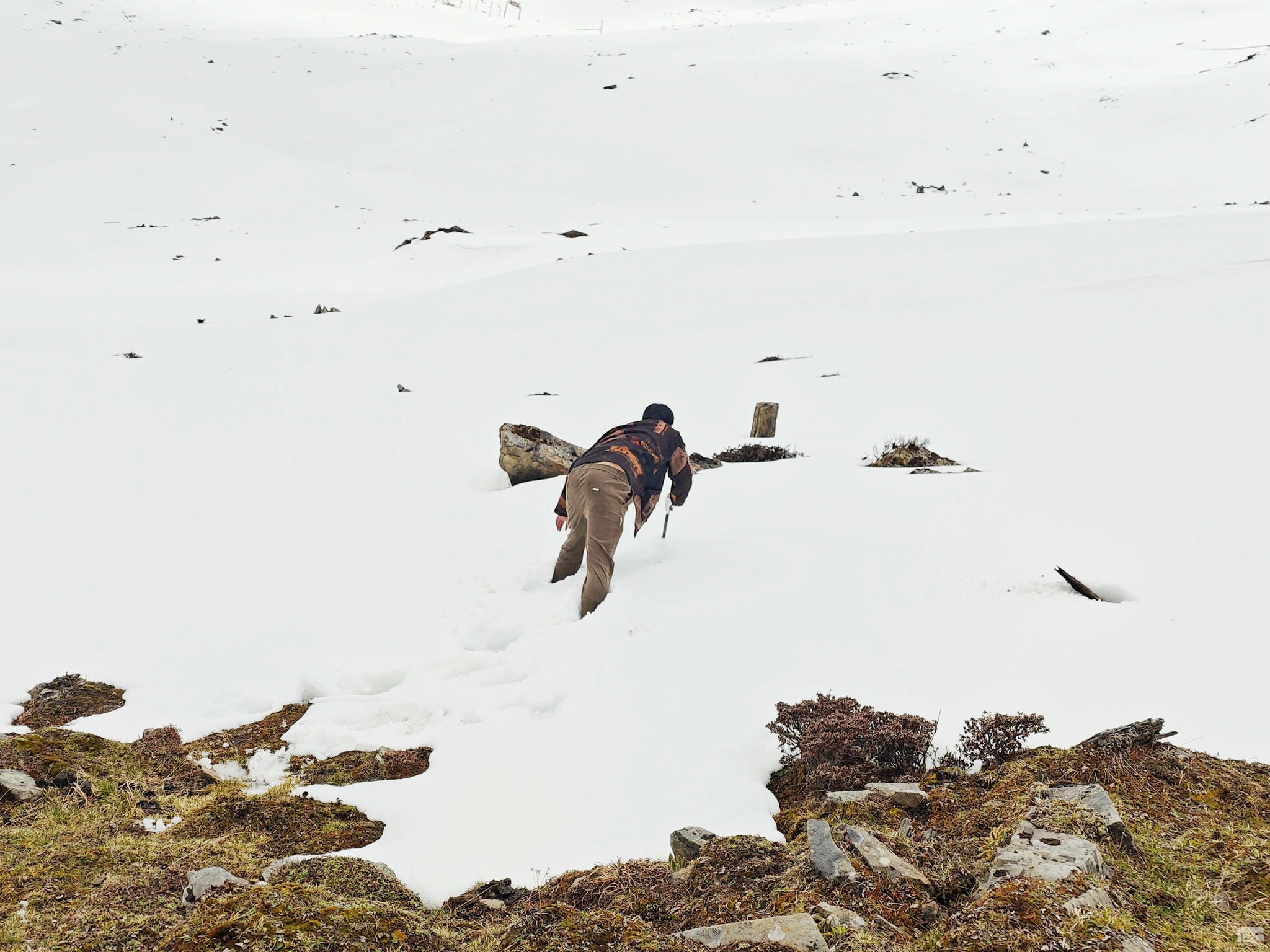 尊时凯龙·Z6(中国区)人生就是拼搏!