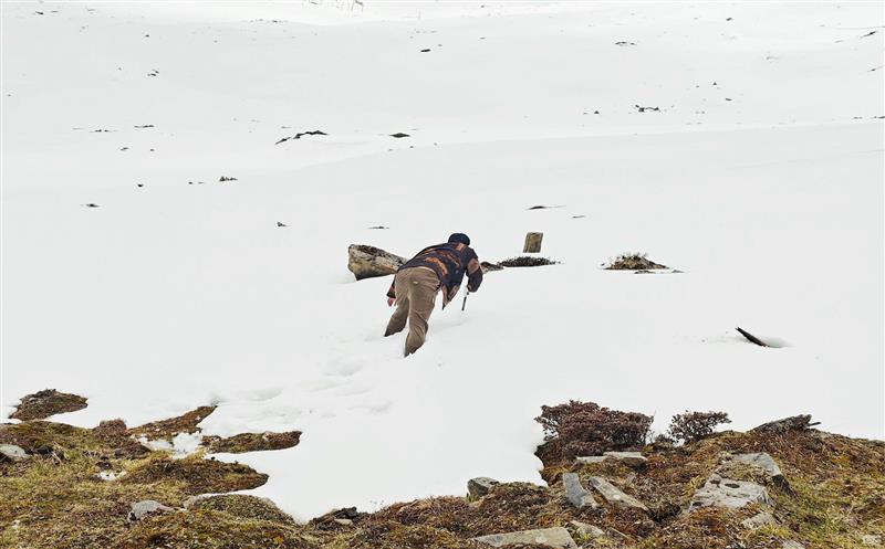 风雪中的前行者 ——阿坝服务处小金县丈量标记点普查维护事情小记