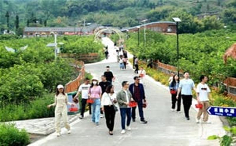 帮扶之音|完善罗群村工业配套  助力工业可一连生长