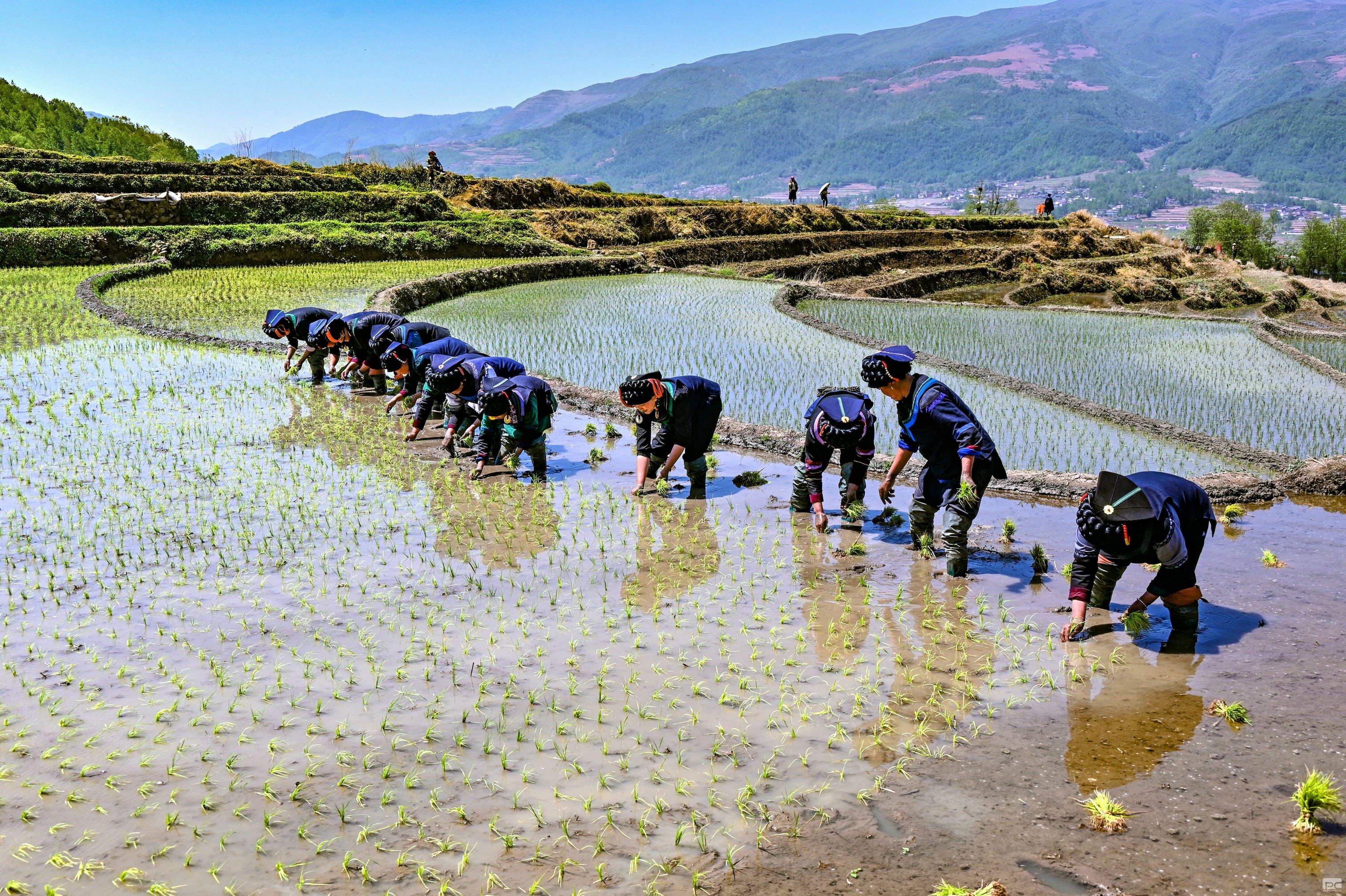 尊时凯龙·Z6(中国区)人生就是拼搏!