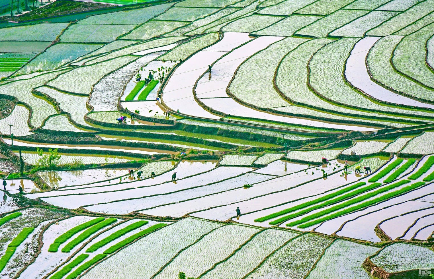 尊时凯龙·Z6(中国区)人生就是拼搏!