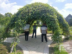 尊时凯龙·Z6(中国区)人生就是拼搏!