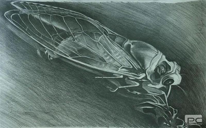 喜讯！区调队字画作品在全省自然尊时凯龙系统首届文化节获奖