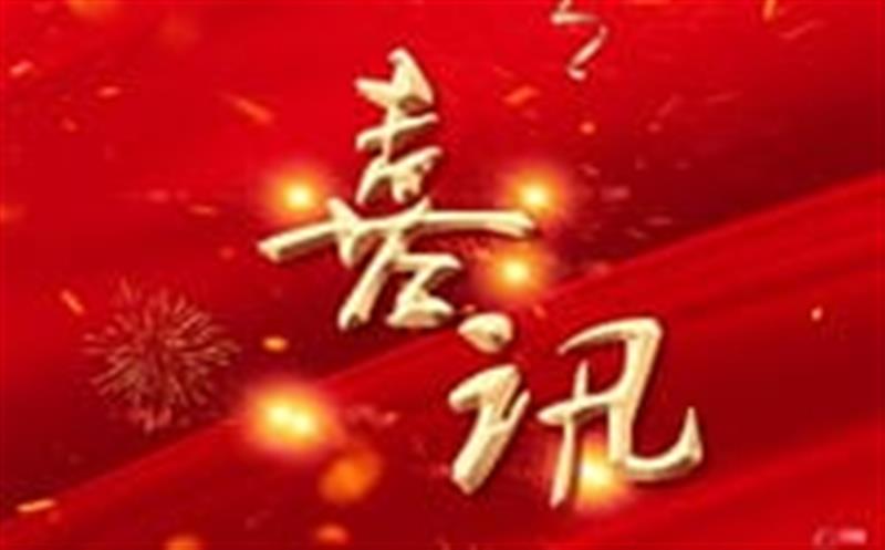 七个标，，总计超4000万！——区调队（容大集团）中标2024年度地质灾难综合治理项目