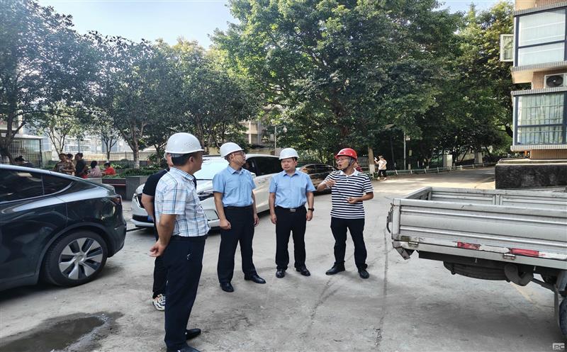 集团向导赴金海？？？？蟛卦址乐蜗钅课课室幌咴惫げ⒕傩星寰布觳