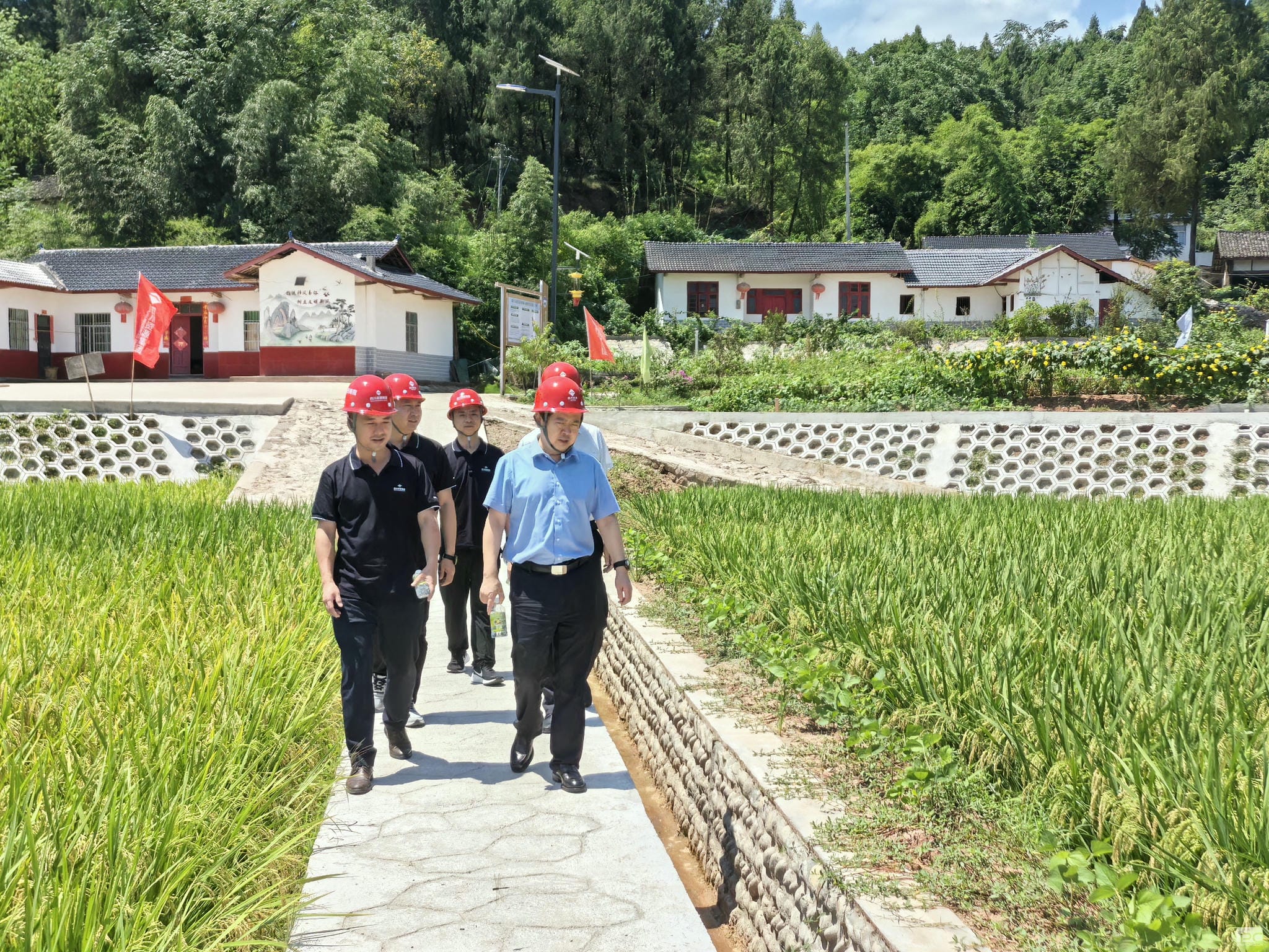 尊时凯龙·Z6(中国区)人生就是拼搏!