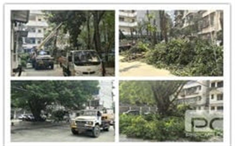 为民办实事 助力微幸福 | 地勘院开展 眷属区绿化带整理事情