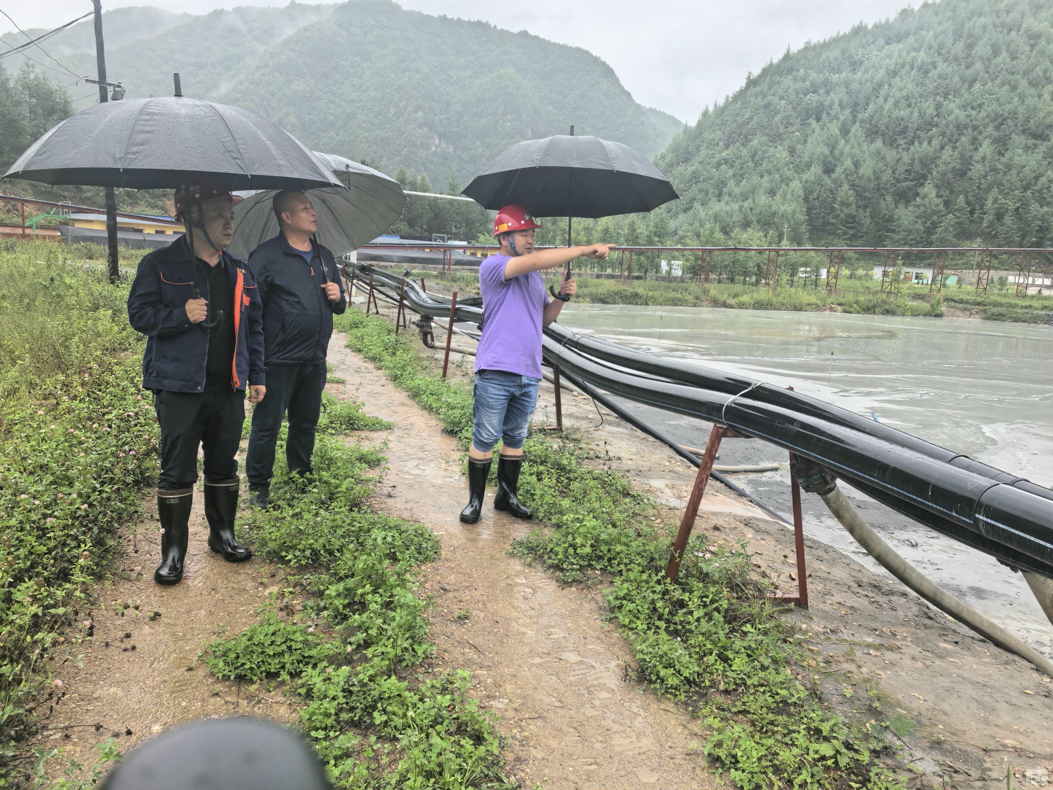 尊时凯龙·Z6(中国区)人生就是拼搏!