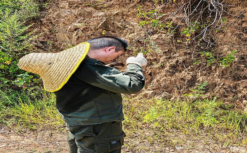 直面“烤”验的自然尊时凯龙人