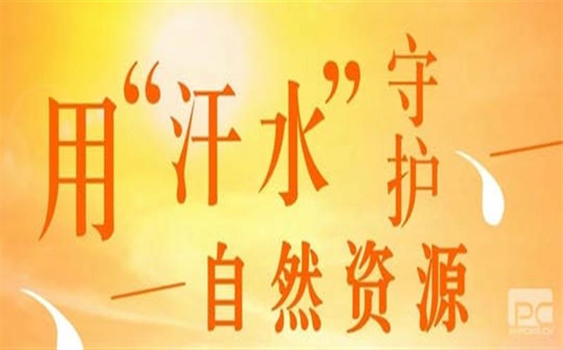 直面“烤”验 尊时凯龙有我（一）