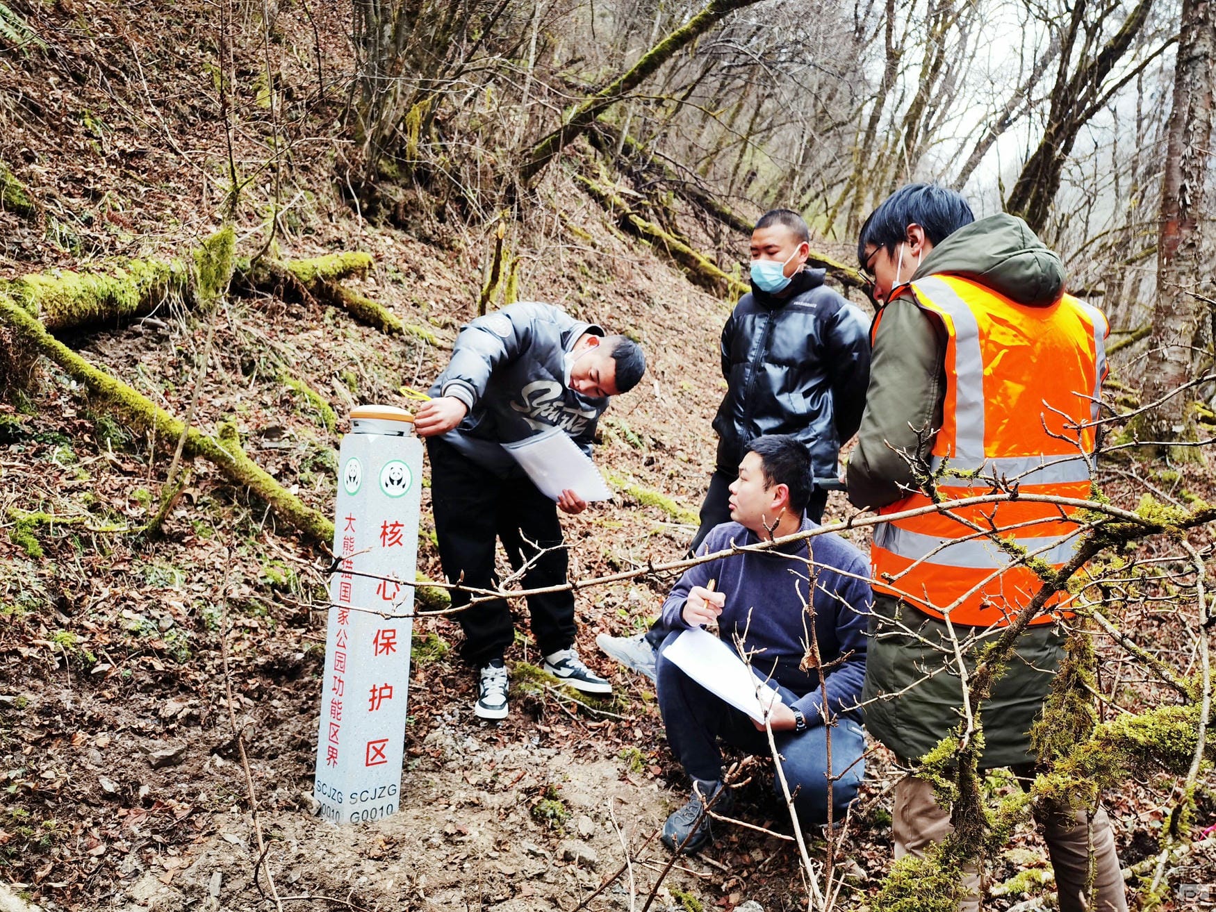 尊时凯龙·Z6(中国区)人生就是拼搏!