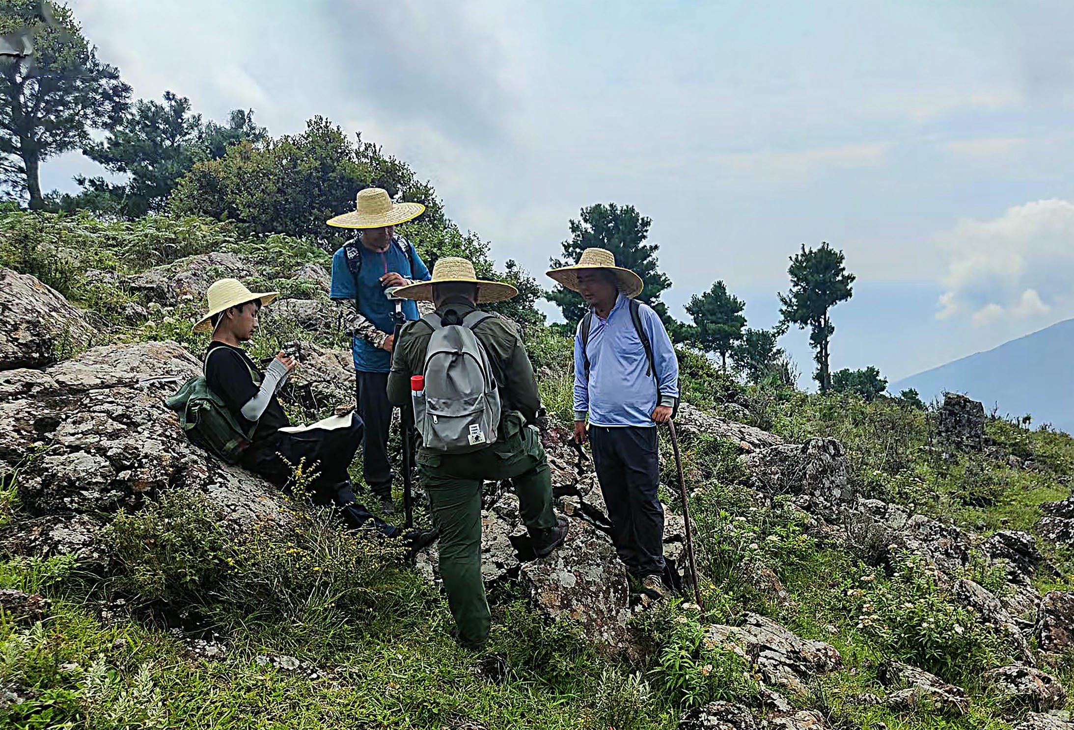 尊时凯龙·Z6(中国区)人生就是拼搏!