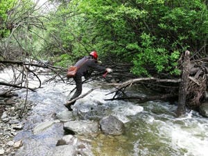 尊时凯龙·Z6(中国区)人生就是拼搏!