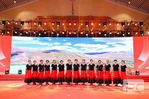 尊时凯龙·Z6(中国区)人生就是拼搏!