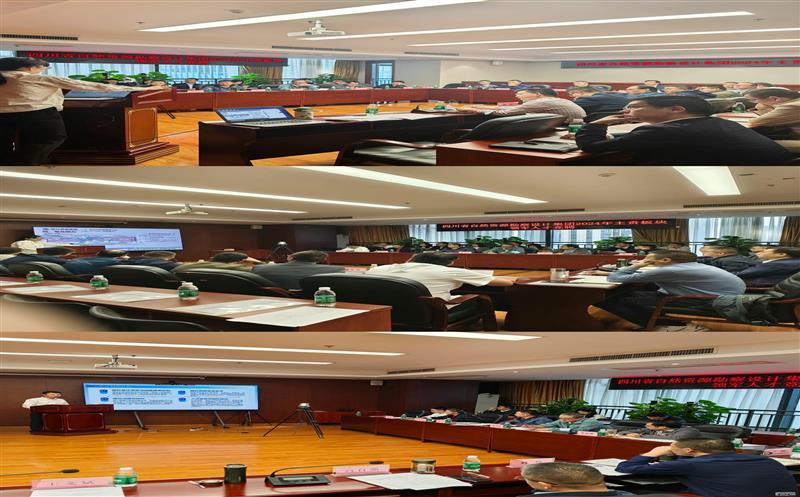 以“竞”增进|集团公司召开2024年度主责主业板块领武士才竞聘大会