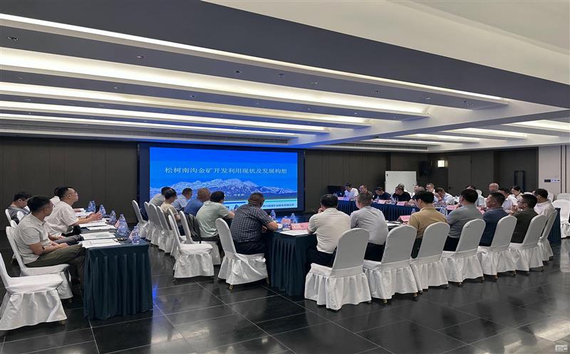 聚智谋远定思绪 拓启新程绘新篇——鑫顺矿业组织开展松树南沟金矿整体开发专题钻研会