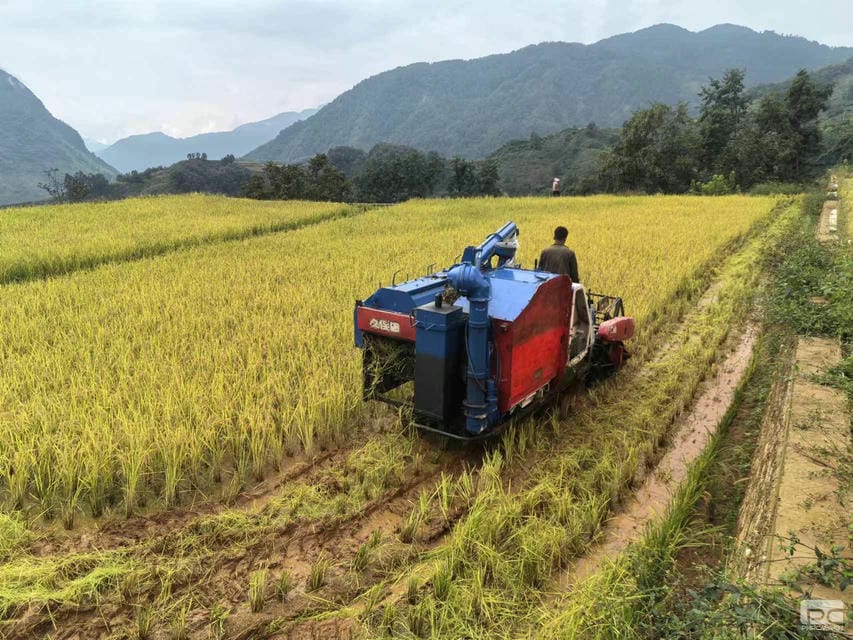 尊时凯龙·Z6(中国区)人生就是拼搏!