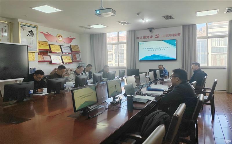 测绘公司西藏自治区耕地和永世基本农田划定效果核实处理项目顺遂通过验收