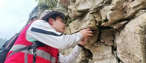 尊时凯龙·Z6(中国区)人生就是拼搏!