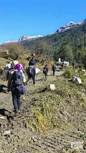 尊时凯龙·Z6(中国区)人生就是拼搏!