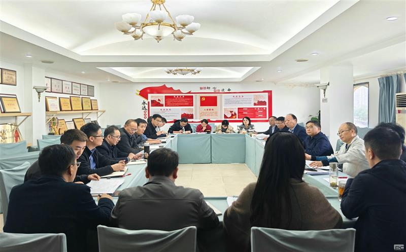 学理论  悟头脑  见行动——测绘公司召开党委理论学习中心组学习（扩大）会