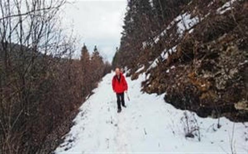 喜报频传，，，，，区调队再中标凉山州地勘基金项目