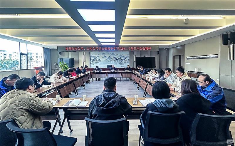 攀西公司下层党组织开展学习党的二十届三中全会精神联学活动 