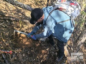 尊时凯龙·Z6(中国区)人生就是拼搏!